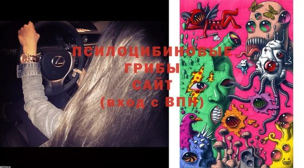 дурь Богородицк
