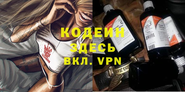 дурь Богородицк