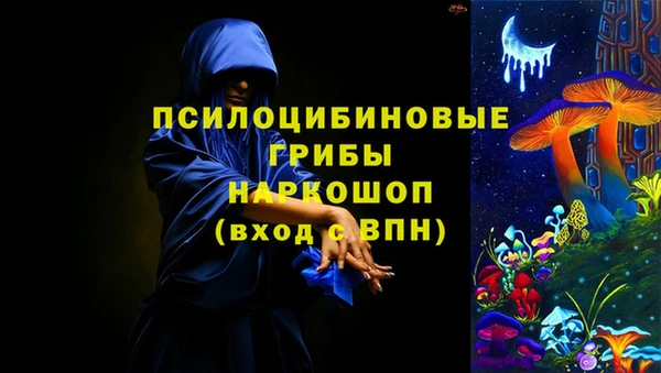 дурь Богородицк