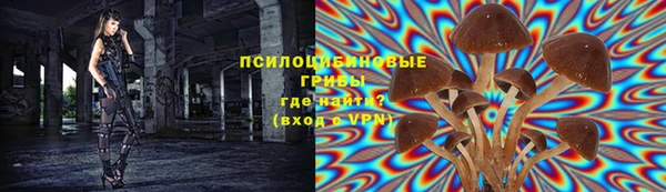 mix Богородск