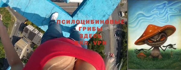 дурь Богородицк
