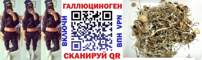 Купить  Сортавала  Псилоцибиновые грибы Psilocybe 